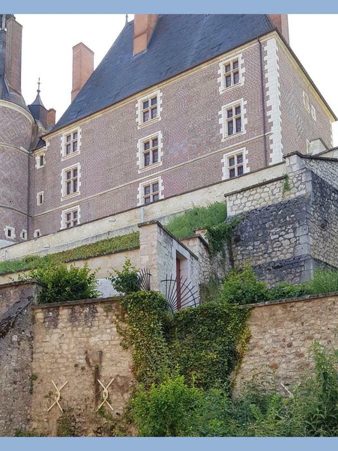 Au Pied Du Château Appartement *